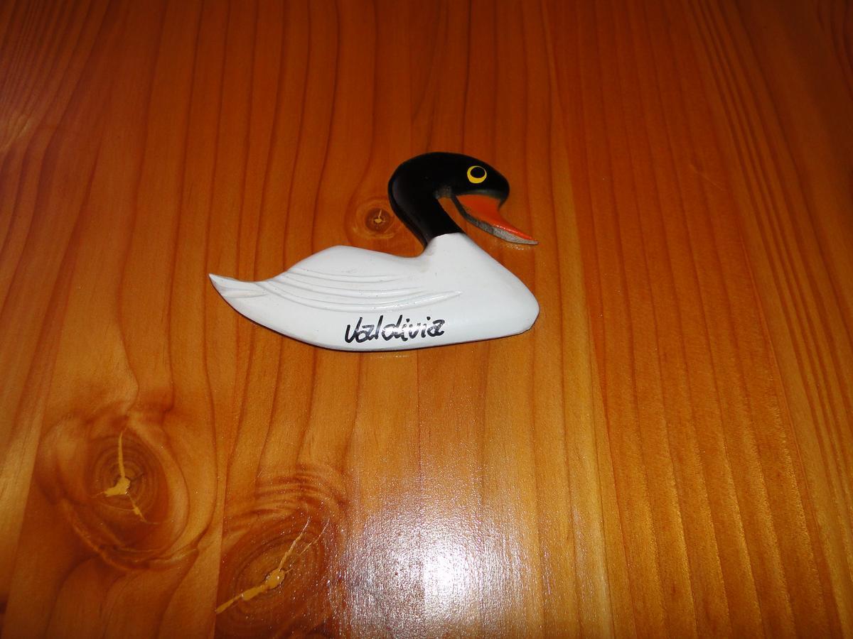 Апартаменты Cabanas Cisne Cuello Negro Вальдивия Экстерьер фото